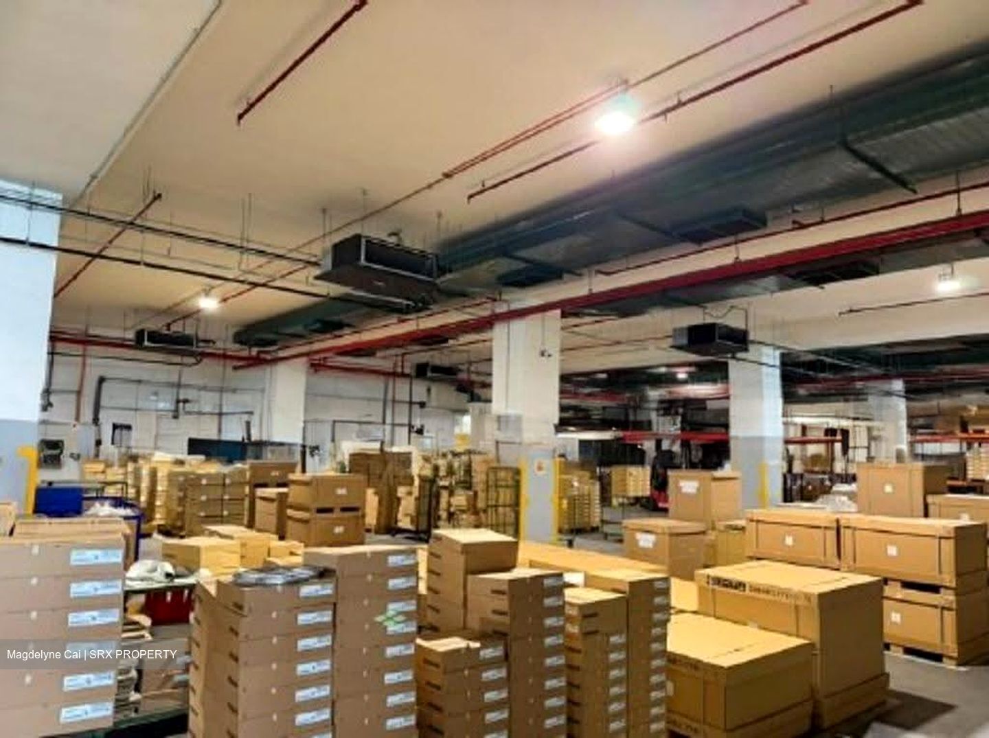 Pandan Crescent (D5), Factory #639838701